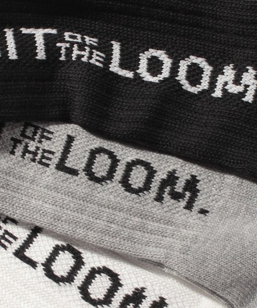 FRUIT OF THE LOOM(フルーツオブザルーム)/C 縦ロゴ－無－無 ソックス 靴下/img02