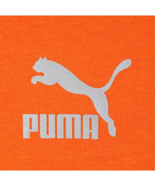 PUMA(PUMA)/インターステラー ポケット スウェット フーディー/img14
