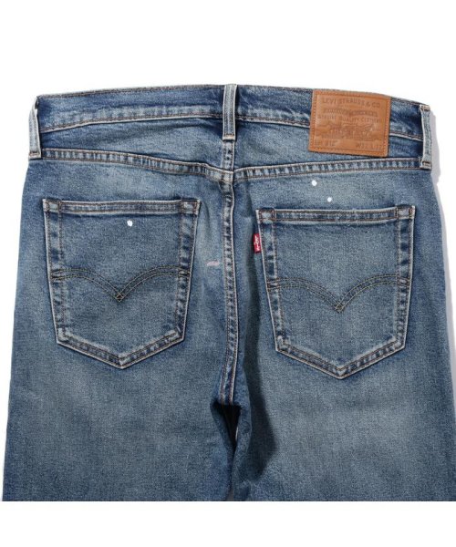 Levi's(リーバイス)/SLIM TAPER POLLEN IN THE Wind Selvedge/img05