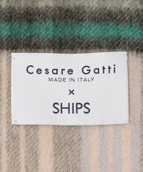 SHIPS MEN(シップス　メン)/【SHIPS別注】Cesare Gatti: カシミヤ スモーキー カラー チェック マフラー/img05