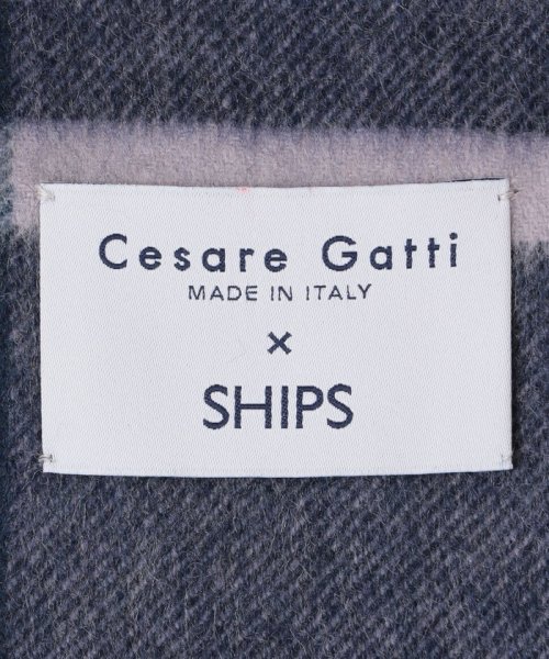 SHIPS MEN(シップス　メン)/【SHIPS別注】Cesare Gatti: カシミヤ スモーキー カラー チェック マフラー/img09