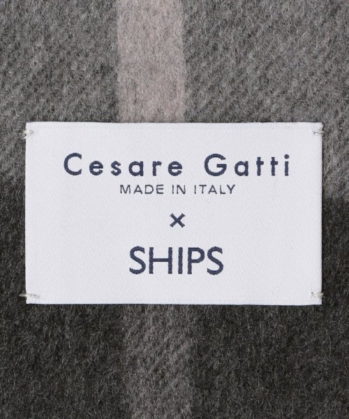 SHIPS MEN(シップス　メン)/【SHIPS別注】Cesare Gatti: カシミヤ スモーキー カラー チェック マフラー/img12