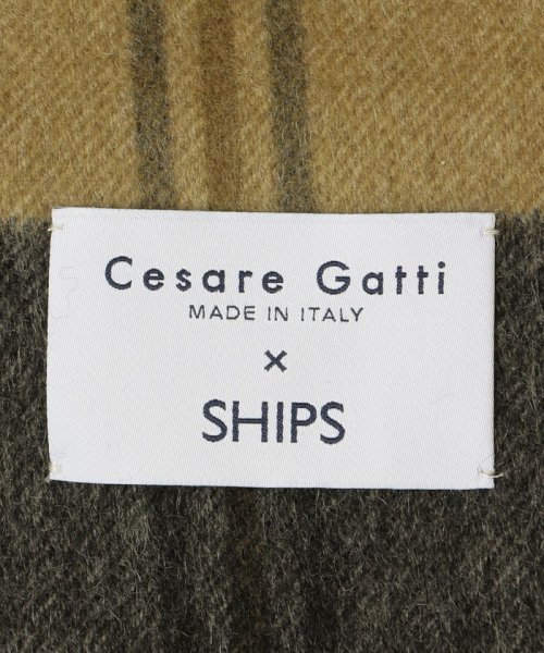 SHIPS MEN(シップス　メン)/【SHIPS別注】Cesare Gatti: カシミヤ スモーキー カラー チェック マフラー/img15