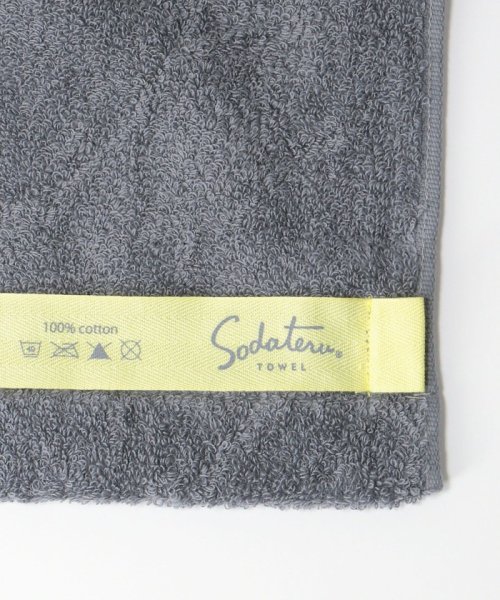 BEAUTY&YOUTH UNITED ARROWS(ビューティーアンドユース　ユナイテッドアローズ)/＜Sodateru Towel＞ BODY/スポーツタオル/img01