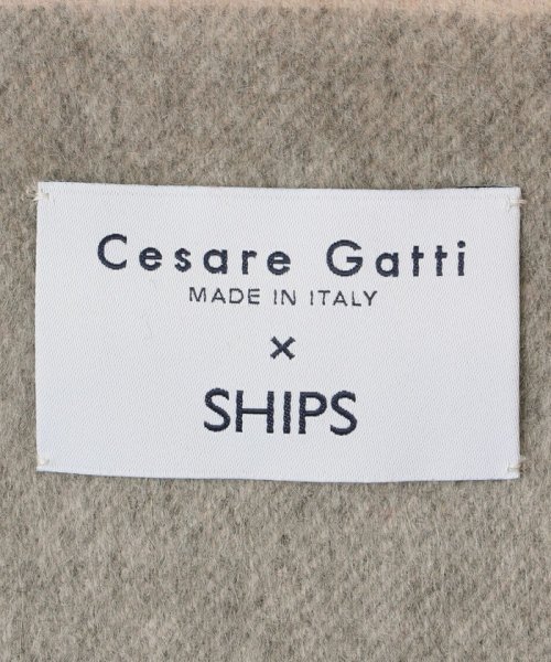 SHIPS MEN(シップス　メン)/【SHIPS別注】Cesare Gatti: カシミヤ スモーキー カラー チェック マフラー/img18
