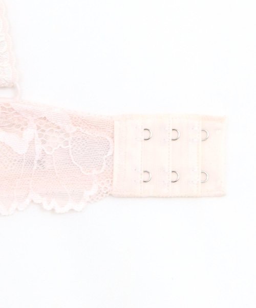 fran de lingerie(フランデランジェリー)/Sheer Beauty シアービューティー コーディネートブラジャー B65－G75カップ/img24