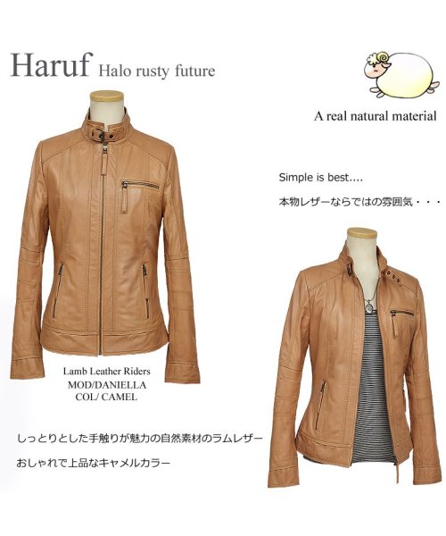 レザージャケット シングルライダースジャケット 革ジャン レディース 本革 スタンドカラー ラムレザー レディースアウター 秋冬 DANIELLA 