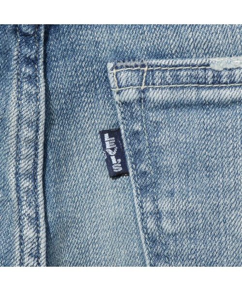 Levi's(リーバイス)/NEW BORROWED FROM THE BOYS WABISABI CLEAN/img02