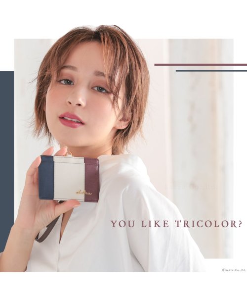 パスケース 定期入れ レディース リール付き Clelia クレリア ブランド トリコロール 社員証 ネックストラップ Cl 11731 503294712 クレリア Clelia Magaseek