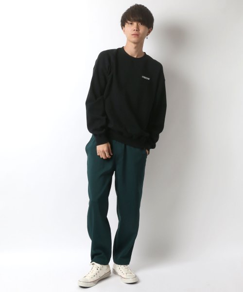 SITRY(SITRY)/【SITRY】VISION STREET WEAR/ヴィジョンストリートウエア ビッグシルエット USAコットン ロゴ刺繍プルオーバースウェット/img16