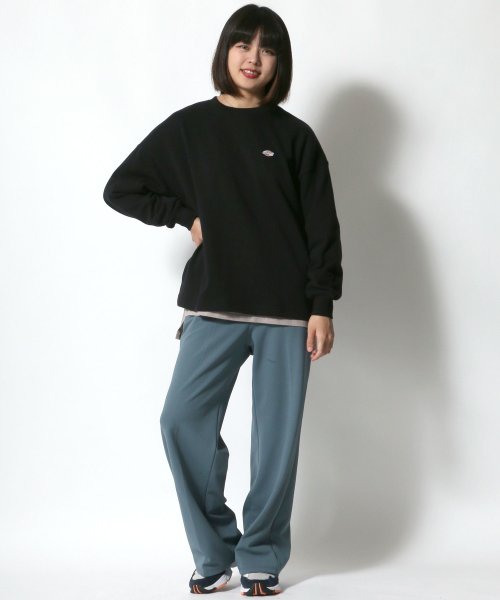 salong hameu(salong hameu)/【Salong hameu】Dickies◆サークルロゴ刺繍/バックプリント/スウェットトレーナー/img09