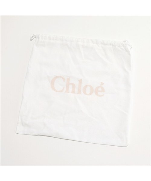 Chloe(クロエ)/【Chloe(クロエ)】CHC20SS207B72 ABY アビー レザー 2way チェーン ショルダーバッグ ポシェット 23W/Motty－Grey 鞄 /img06