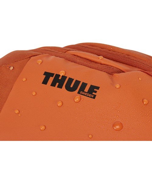 THULE(スーリー)/CHASM BACKPACK26L AUTUMN/img03