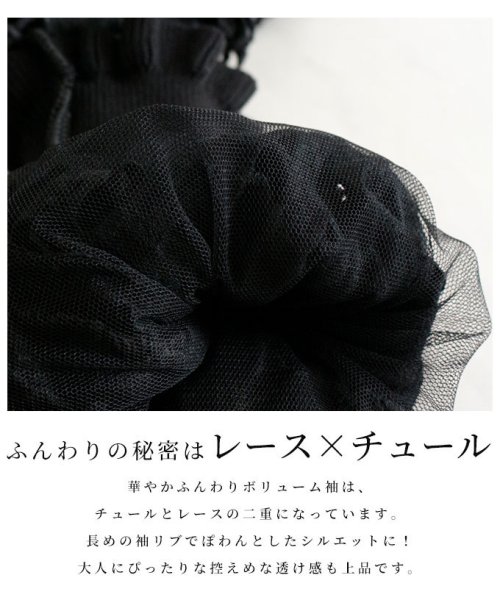 Sawa a la mode(サワアラモード)/透け感美しいレースのボリューム袖ニット/img03