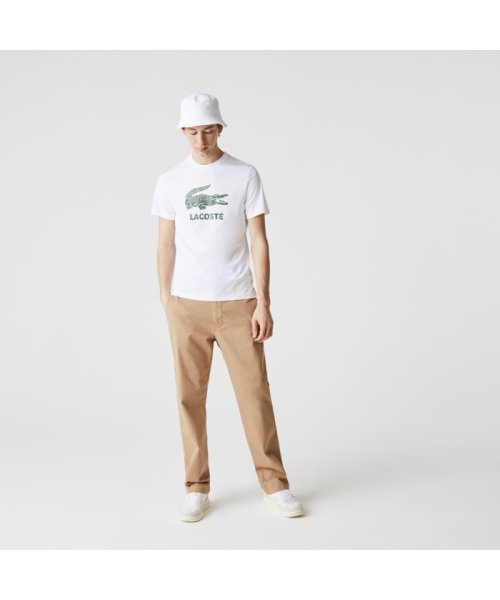 LACOSTE Mens(ラコステ　メンズ)/クラックワニロゴTシャツ/img02