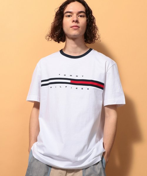 TOMMY HILFIGER(トミーヒルフィガー)/トミーヒルフィガー ロゴ Tシャツ / TINO TEE/img06