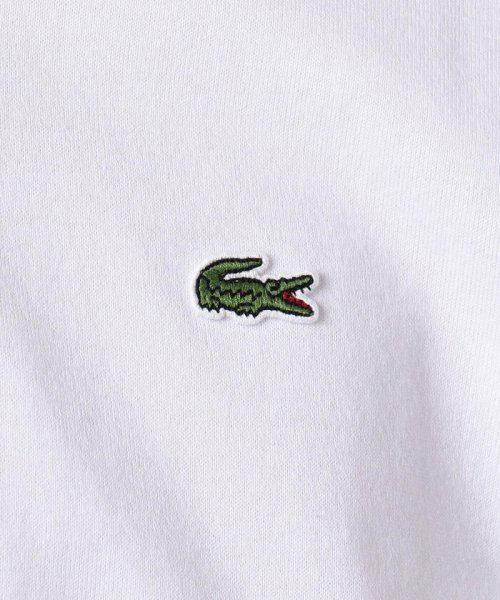 GLOSTER(GLOSTER)/【LACOSTE/ラコステ】Vネック スリムTシャツ (TH632EM)/img07