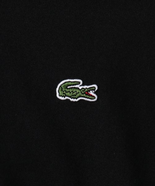 GLOSTER(GLOSTER)/【LACOSTE/ラコステ】Vネック スリムTシャツ (TH632EM)/img09