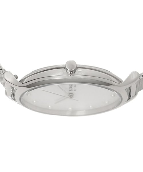 SKAGEN(スカーゲン)/スカーゲン 腕時計 レディース SKAGEN SKW2775 シルバー/img03