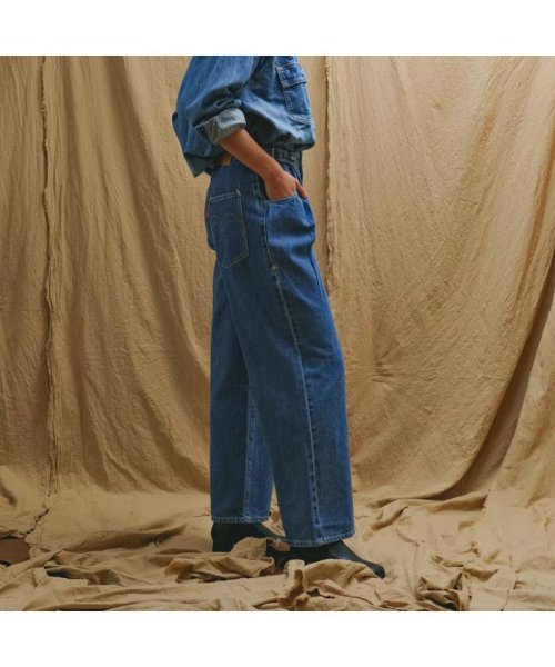 Levi's(リーバイス)/LR LOW LOOSE WORK PANT NEW YEAR BLUE/img01