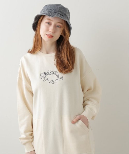 お散歩恐竜ワンピース Mentorservicing Com