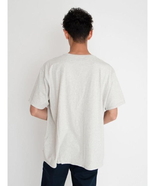 Levi's(リーバイス)/WLTRD VINTAGE Tシャツ SILVER LEAF GREY GRAPHIC/img02