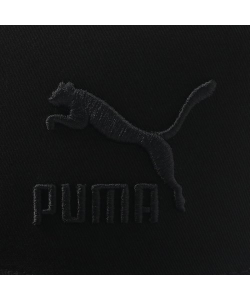 PUMA(PUMA)/ユニセックス ライフスタイル カラーブロック キャップ/img02