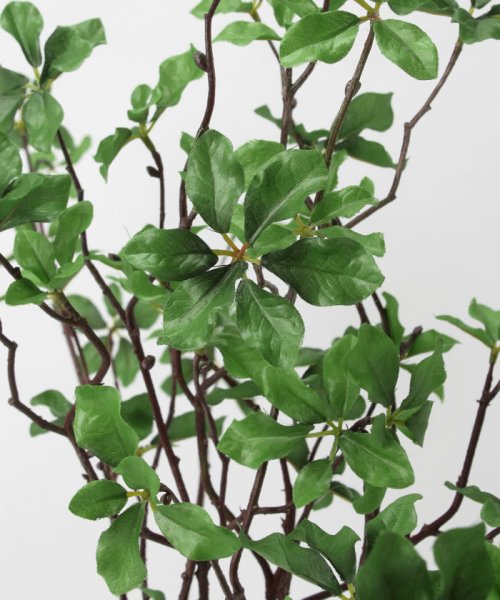 ドウダンツツジ フェイクインテリアグリーン 観葉植物 瓶付き アーティフィシャルフラワー 高級造花 お手入れ簡単 プアラニ Pualani Magaseek