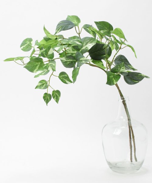 ポトス フェイクインテリアグリーン 観葉植物 瓶付き アーティフィシャルフラワー 高級造花 お手入れ簡単 プアラニ Pualani Magaseek