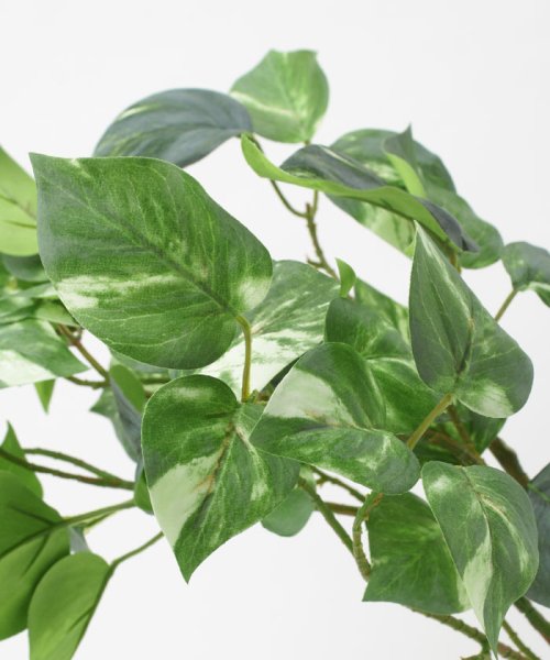 ポトス フェイクインテリアグリーン 観葉植物 瓶付き アーティフィシャルフラワー 高級造花 お手入れ簡単 プアラニ Pualani Magaseek