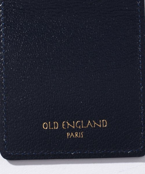 OLD ENGLAND　HOMME(オールドイングランド　オム　)/ポケットチーフ/img02