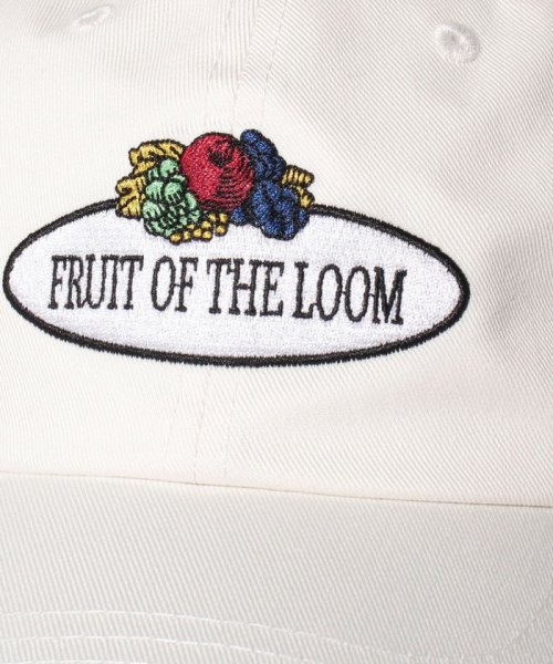 FRUIT OF THE LOOM(フルーツオブザルーム)/SHELTECH LOW CAP/img04