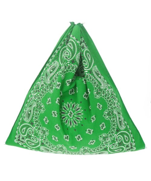 HAVAHANK(HAVAHANK)/HAV A HANK PAISLEY BANDANA ECO BAG/img12