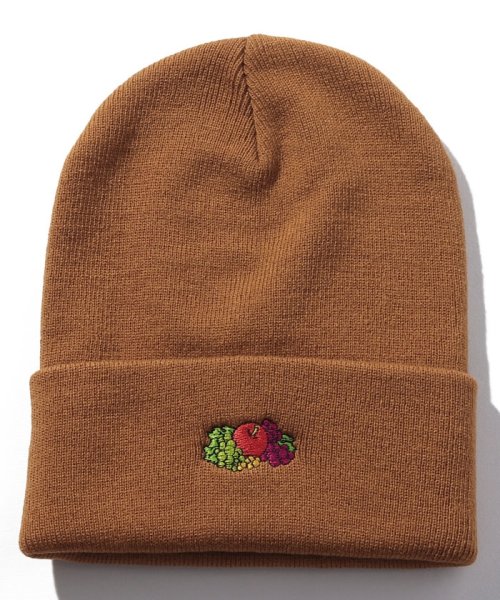 FRUIT OF THE LOOM(フルーツオブザルーム)/SIMPLE KNIT CAP/img08