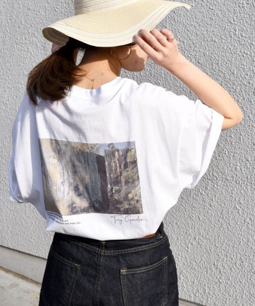 SHIPS WOMEN(シップス　ウィメン)/《一部追加予約》* オーガニックコットン フォト ショート スリーブ TEE 24SS ◆/img41