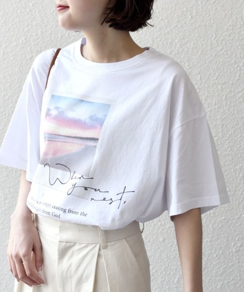 SHIPS WOMEN(シップス　ウィメン)/《一部追加予約》* オーガニックコットン フォト ショート スリーブ TEE 24SS ◆/img49