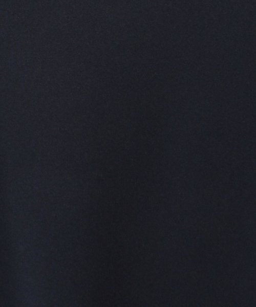 LAPINE BLEUE(ラピーヌ ブルー)/【大きいサイズ】【洗える】【セットアップ対応】ジャージー プルオーバーブラウス/img03