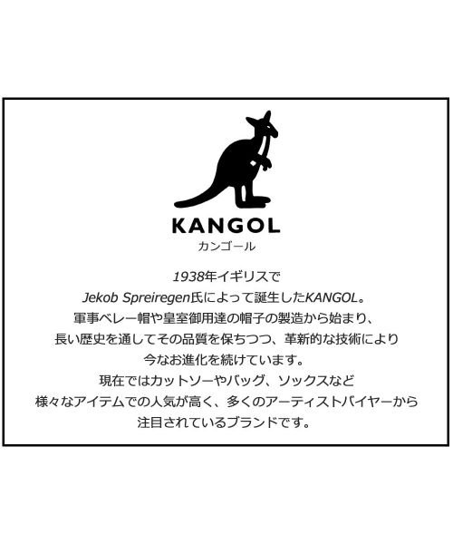 THE CASUAL(ザ　カジュアル)/(カンゴール)KANGOL 3足セットワンポイントロゴソリッドカラーリブクルーソックス/img01