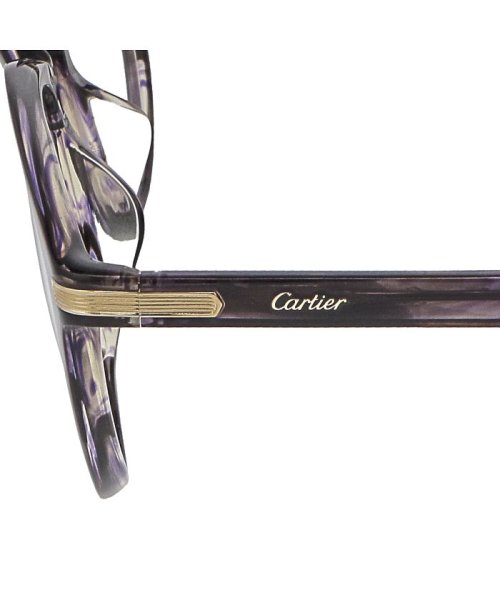 Cartier( カルティエ)/Cartier メガネ CT0018OA アジアンフィット パントス/img11
