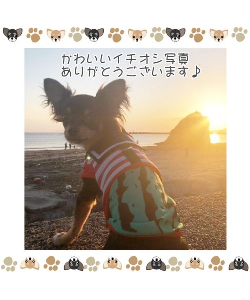 HAPPY DOG!!(はっぴーDOG！！)/犬 服 犬服 犬の服 タンクトップ フルーツ スイカ柄 ソフトメッシュ ドッグウェア 【春 夏 春夏 毛抜け防止 毛落ち防止 おしゃれ 可愛い 女の子 男の子 /img13