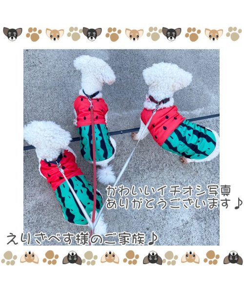 セール はっぴーdog Happy Dog 犬 服 犬服 犬の服 タンクトップ フルーツ スイカ柄 ソフトメッシュ ドッグウェア 春 夏 春夏 毛抜け防止 毛落ち防止 おしゃれ 可愛い 女の子 男の子 Magaseek セール はっぴーdog Happy Dog 犬 服 犬服 犬の服 タンクトップ フルーツ スイカ柄 ソフトメッシュ ドッグウェア 春 夏 春夏 毛抜け防止 毛落ち防止 おしゃれ 可愛い 女の子 男の子 Magaseek