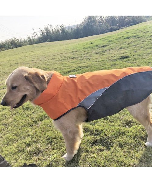 HAPPY DOG!!(はっぴーDOG！！)/犬のカッパ 犬 服 犬服 犬の服 アウター レインコート 着せやすい ドッグウェア カッパ マジックテープ 雨具 ポンチョ  【おしゃれ 可愛い トイプードル /img01