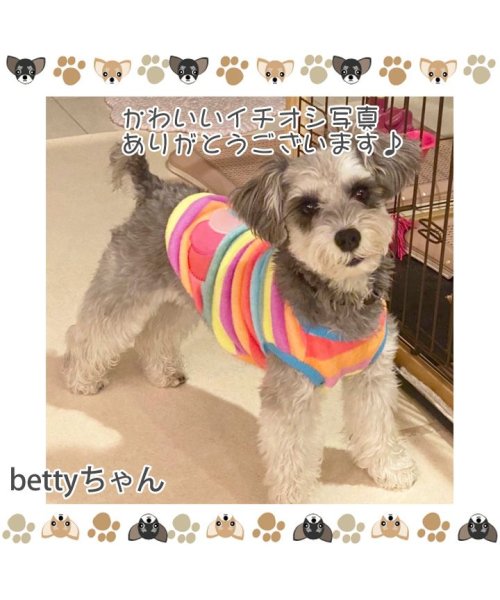 犬 服 犬服 犬の服 タンクトップ カラフル ドッグウェア 春 夏 春夏 毛抜け防止 毛落ち防止 おしゃれ 可愛い 女の子 男の子 トイプードル チワワ 洋服