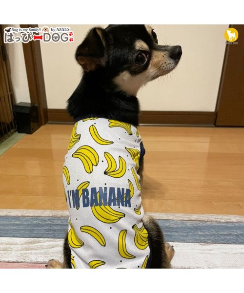 セール 犬 服 犬服 犬の服 タンクトップ キャミソール フルーツ ドッグウェア メッシュ 春 夏 春夏 毛抜け防止 毛落ち防止 おしゃれ 可愛い 女の子 男の子 ト はっぴーdog Happy Dog Magaseek
