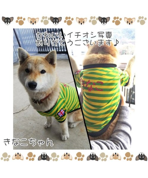 HAPPY DOG!!(はっぴーDOG！！)/ 犬 服 犬服 ドッグウェア ボーダー ラグビー カットソー Tシャツ ユニオンジャック  【春 夏 春夏 毛抜け防止 毛落ち防止 おしゃれ 可愛い 女の子 男/img06