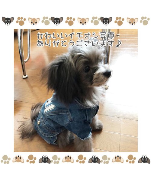 HAPPY DOG!!(はっぴーDOG！！)/犬 服 犬服 ドッグウェア つなぎ ロンパース カバーオール デニム  【春 夏 春夏 毛抜け防止 毛落ち防止 おしゃれ 可愛い 女の子 男の子 トイプードル /img07