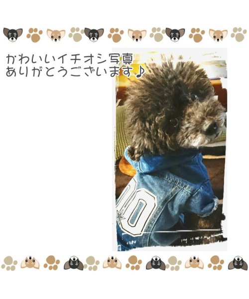 HAPPY DOG!!(はっぴーDOG！！)/犬 服 犬服 ドッグウェア つなぎ ロンパース カバーオール デニム  【春 夏 春夏 毛抜け防止 毛落ち防止 おしゃれ 可愛い 女の子 男の子 トイプードル /img08