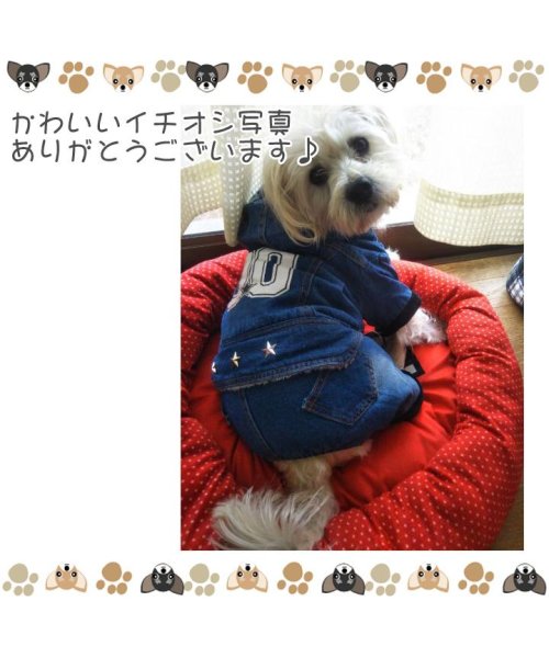 HAPPY DOG!!(はっぴーDOG！！)/犬 服 犬服 ドッグウェア つなぎ ロンパース カバーオール デニム  【春 夏 春夏 毛抜け防止 毛落ち防止 おしゃれ 可愛い 女の子 男の子 トイプードル /img09