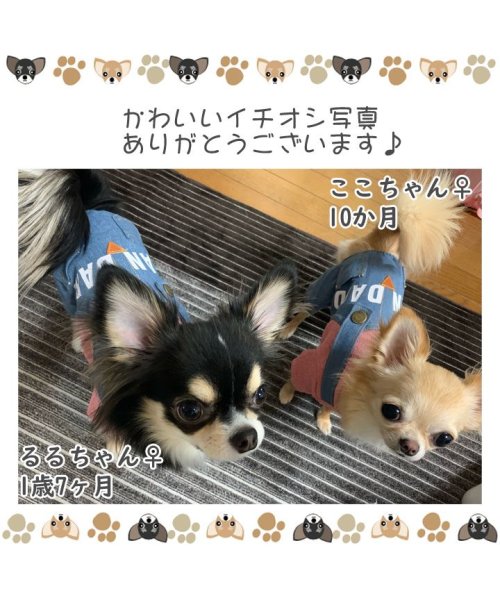 HAPPY DOG!!(はっぴーDOG！！)/ 犬 服 犬服 犬の服 ドッグウェア つなぎ ロンパース カバーオール デニム ロゴ  【春 夏 春夏 毛抜け防止 毛落ち防止 おしゃれ 可愛い 女の子 男の子/img06