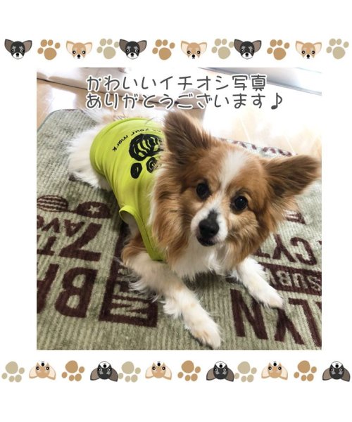 セール 犬 服 犬服 犬の服 タンクトップ 足跡柄 ドッグウェア 春 夏 春夏 毛抜け防止 毛落ち防止 おしゃれ 可愛い 女の子 男の子 トイプードル チワワ 洋服 はっぴーdog Happy Dog Magaseek セール 犬 服 犬服 犬の服 タンクトップ 足跡柄 ドッグウェア 春 夏 春夏 毛抜け防止 毛落ち防止 おしゃれ 可愛い 女の子 男の子 トイプードル チワワ 洋服 はっぴーdog Happy Dog Magaseek